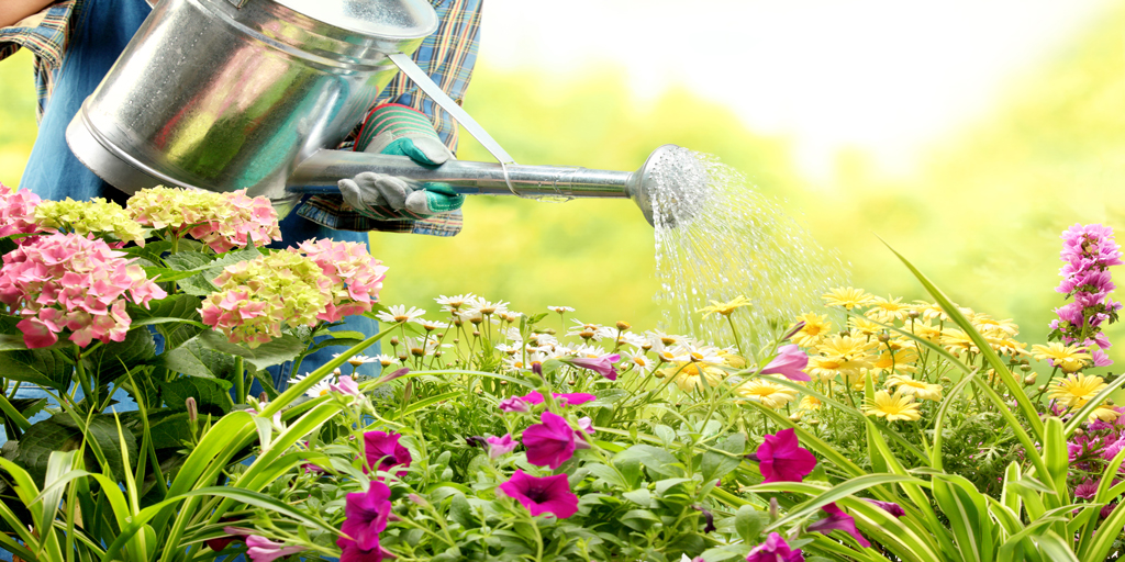 How to prepare your garden before selling your home - OnTheMarket.com