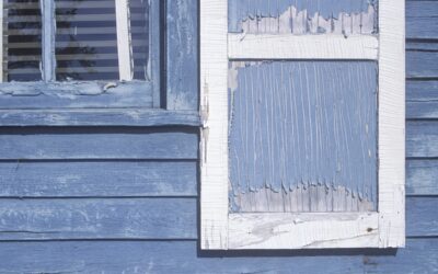 Buying or selling a house with dry rot