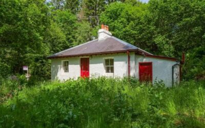 Favourite fixer upper