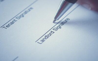 Our new Lettings AVM tool helps landlords assess achievable rental values in a competitive market