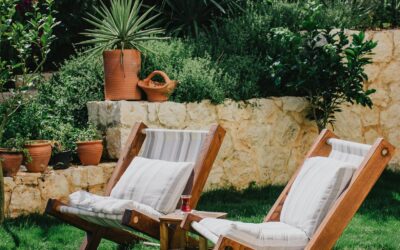 Why are south-facing gardens so desirable?