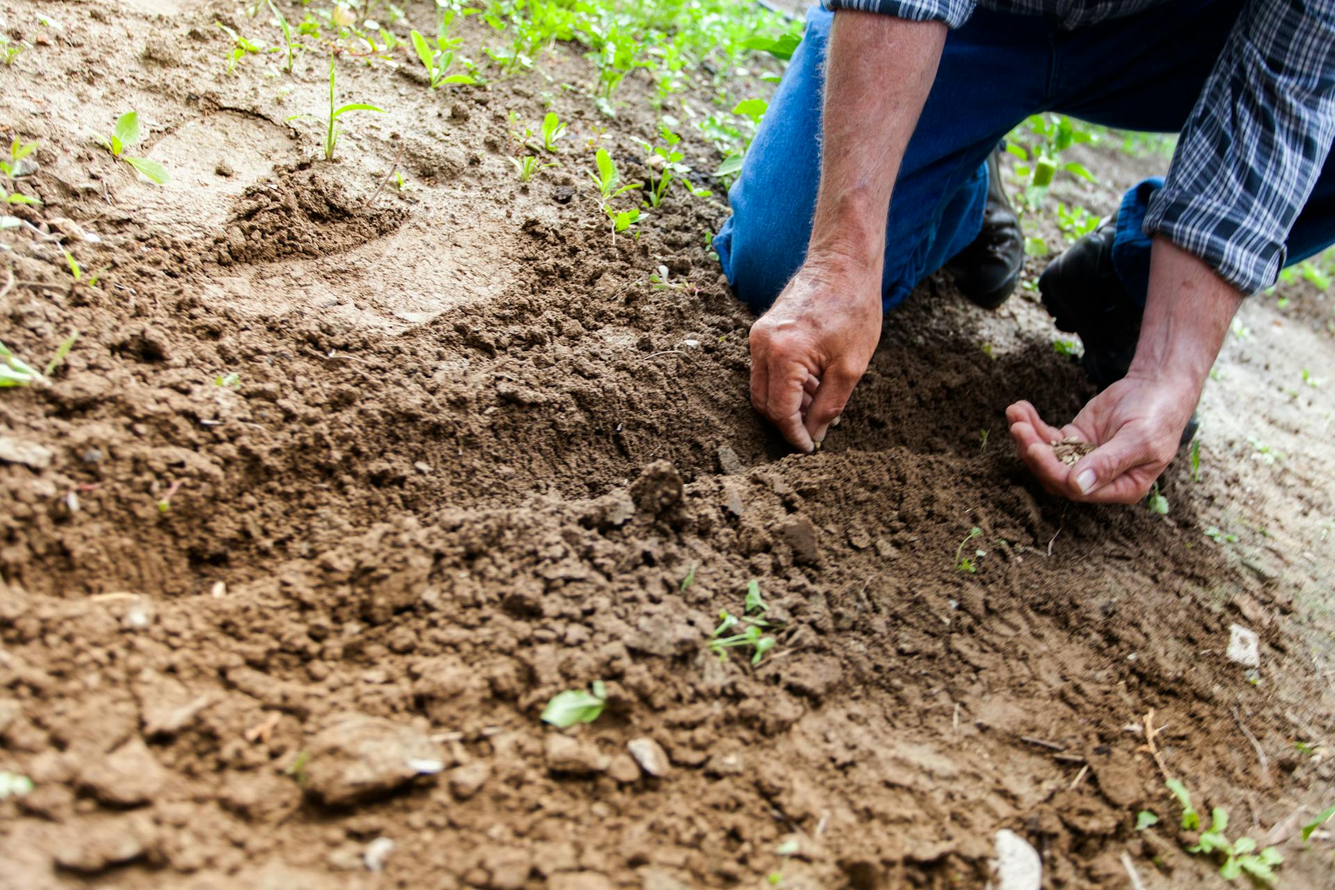 A man planting seeds in soil.