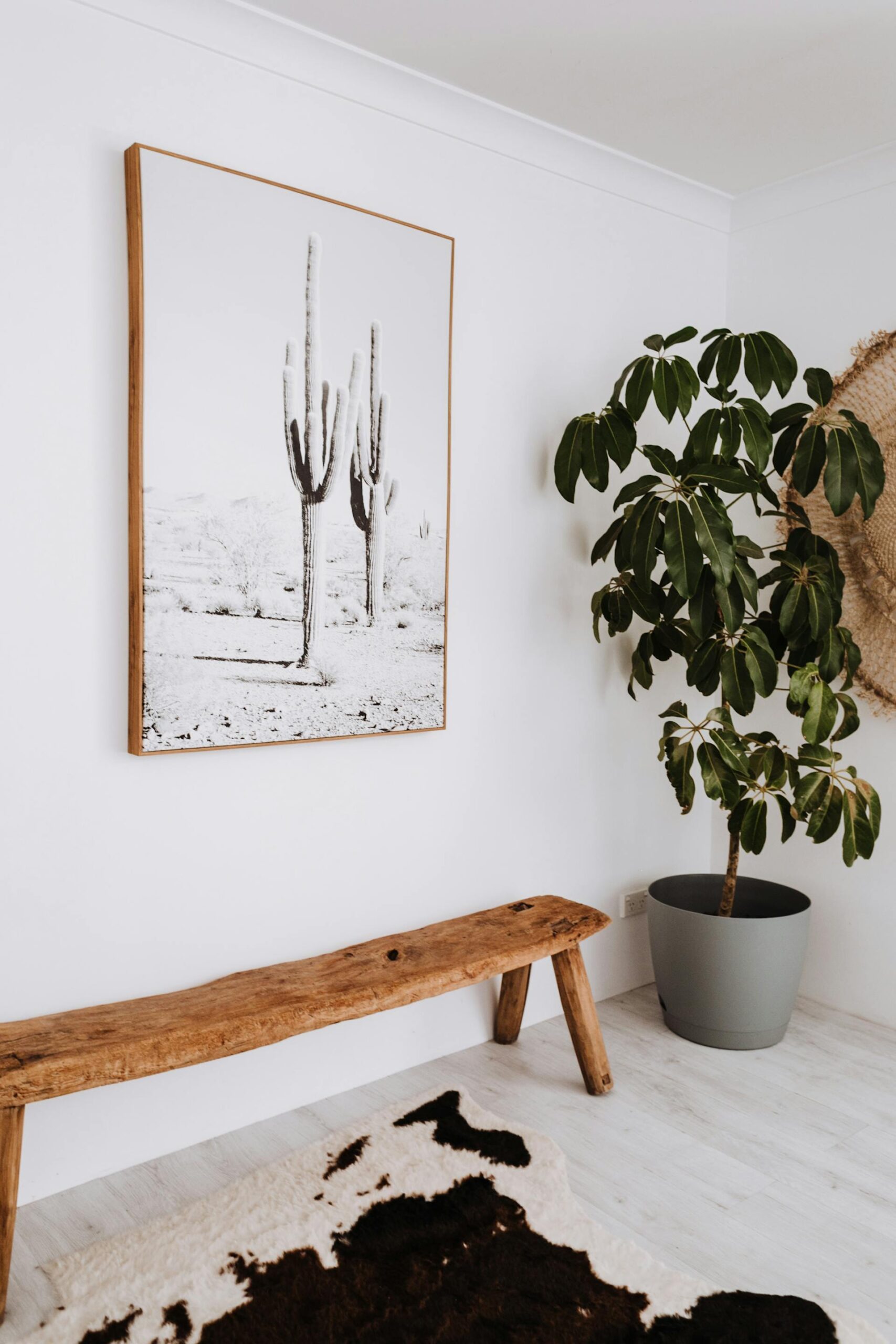 A wooden bench and picture frame next to a green plant and hanging jute wall art.