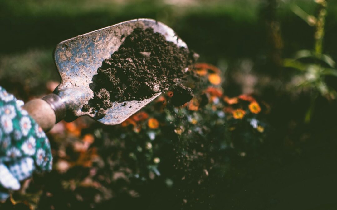 National Gardening Day