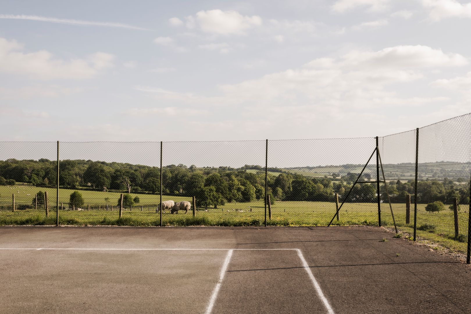 Grey tennis court with countryside views and several sheep to the rear