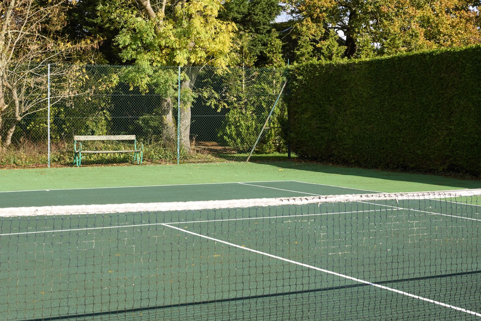 A green tennis court with box hedge to the right and bench to the back.