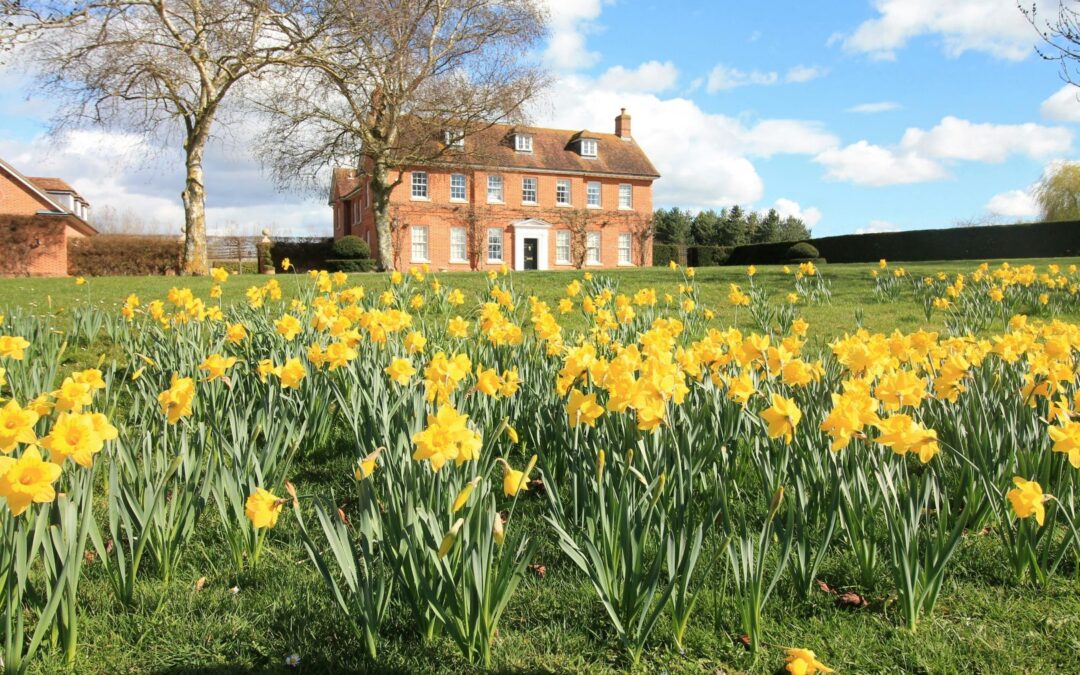 Why Spring is one of the best times to sell your home