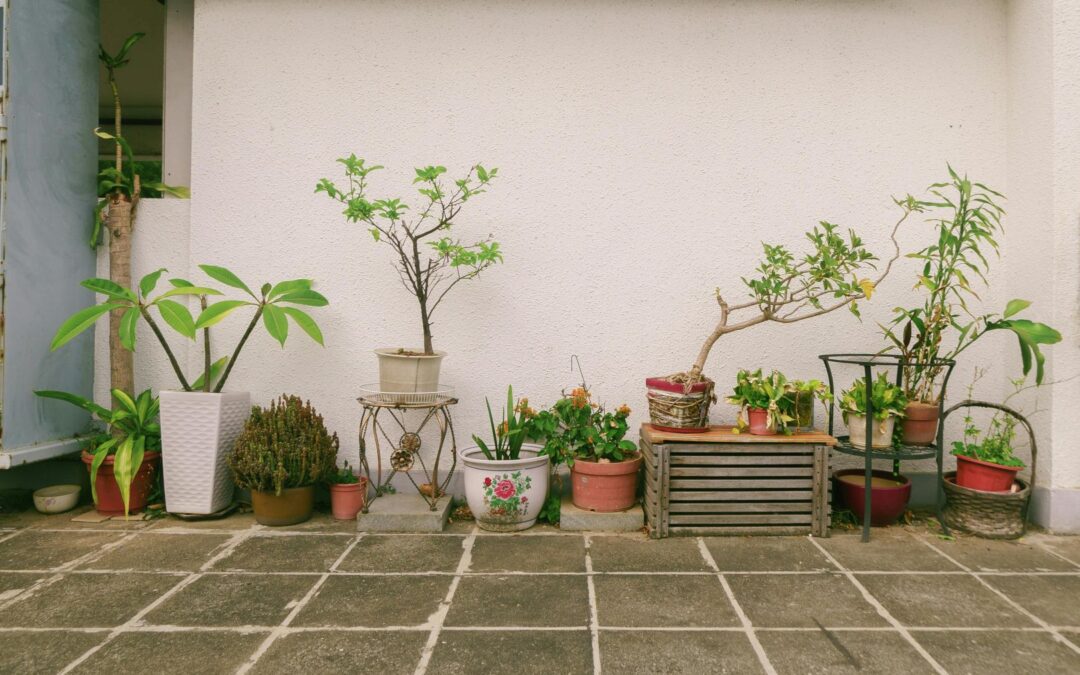 Small garden, big impact: smart design tips for compact outdoor spaces