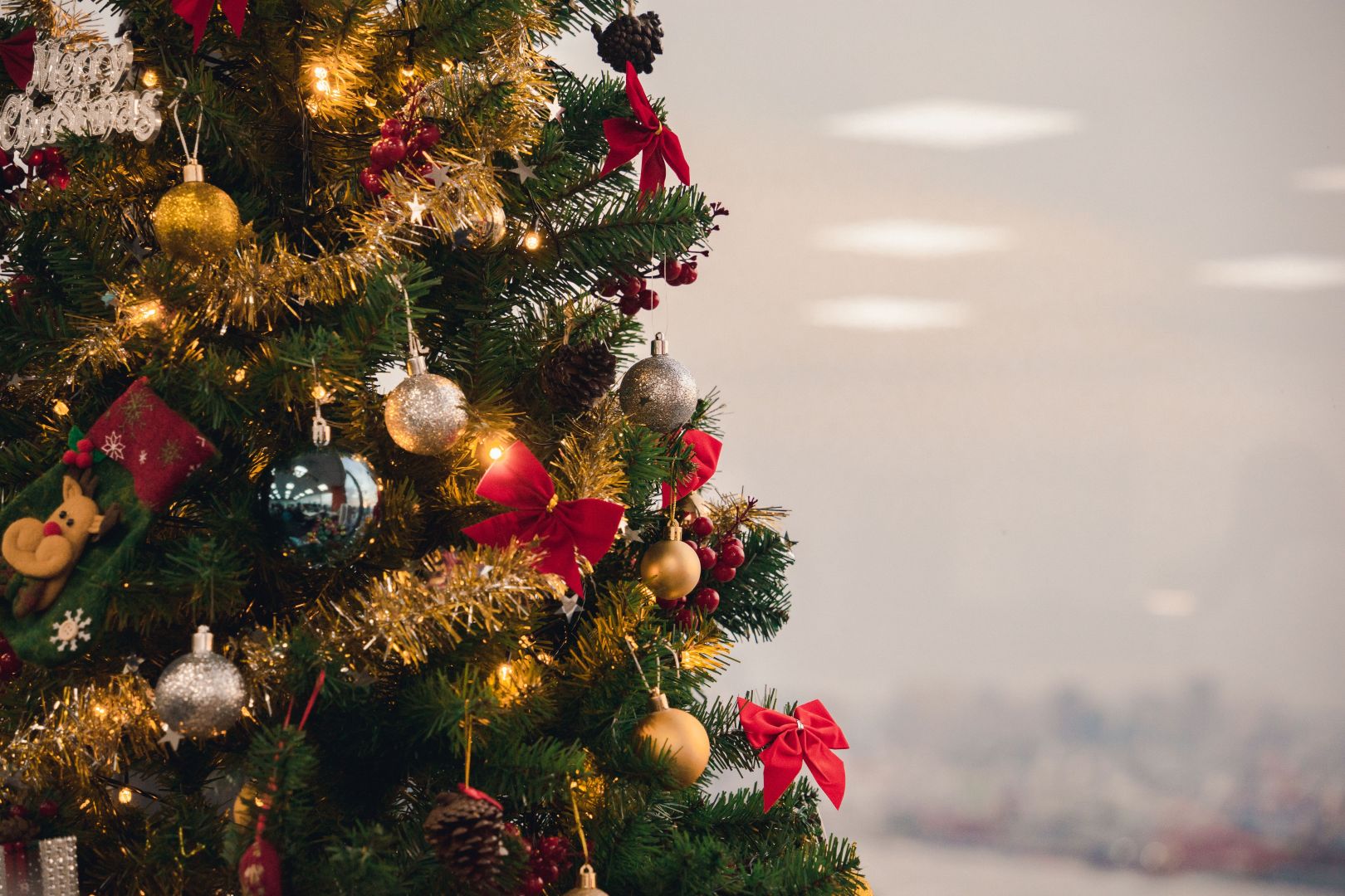 A landscape image showing a section of a christmas tree with baubles, twinkly lights and red ribbons.