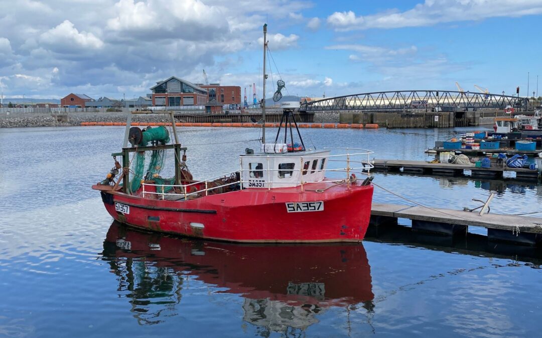 Swansea, Dundee and Edinburgh continue to top the Hotspots report